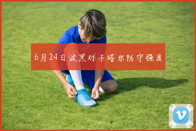 6月24日波黑对卡塔尔防守强度