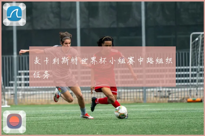 麦卡利斯特世界杯小组赛中路组织任务