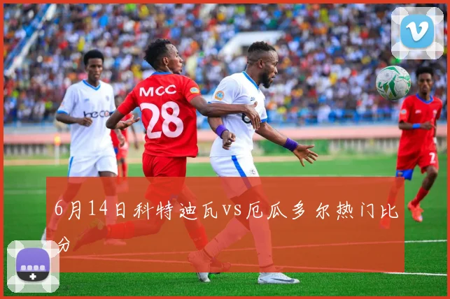 6月14日科特迪瓦vs厄瓜多尔热门比分