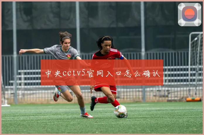 中央cctv5官网入口怎么确认