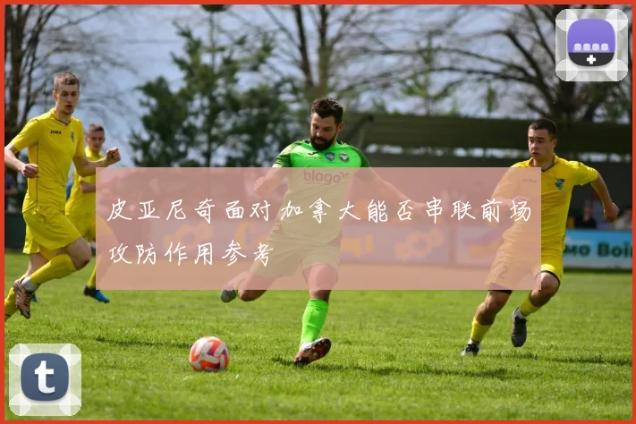 皮亚尼奇面对加拿大能否串联前场攻防作用参考